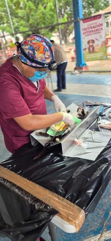 Llevan jornada de esterilizaci&oacute;n canina y felina a comisar&iacute;as de Tizim&iacute;n
