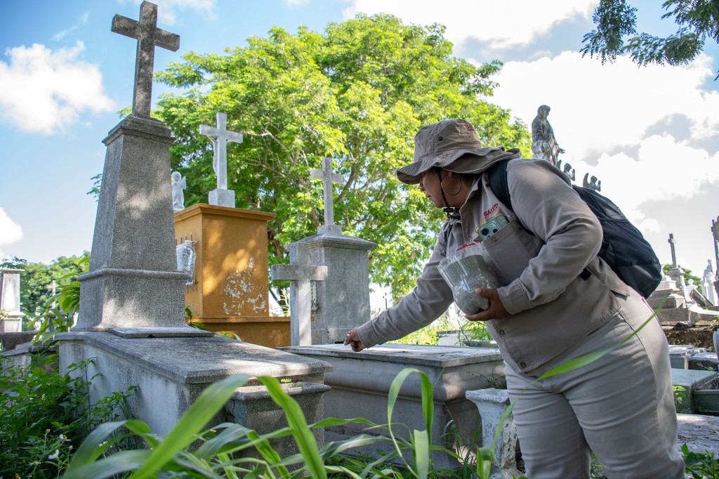 Refuerza Yucatán la fumigación en panteones, por Días de Fieles Difuntos