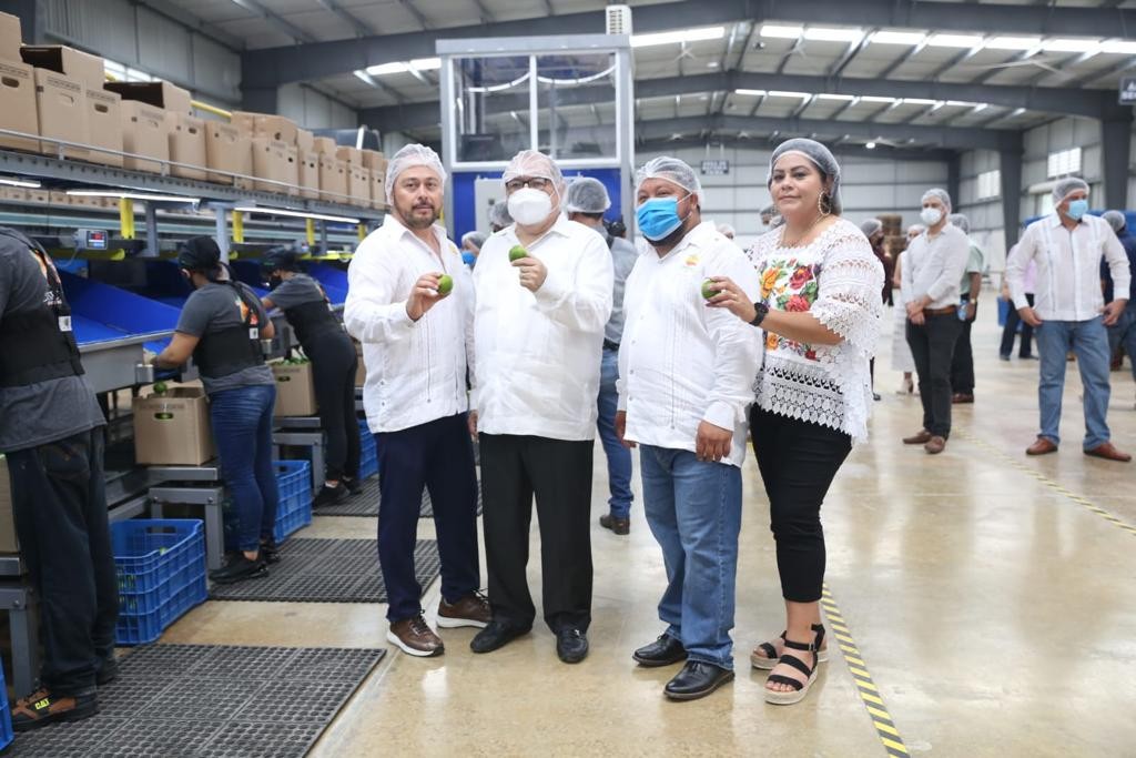 Limón, de Ticul para el mundo…