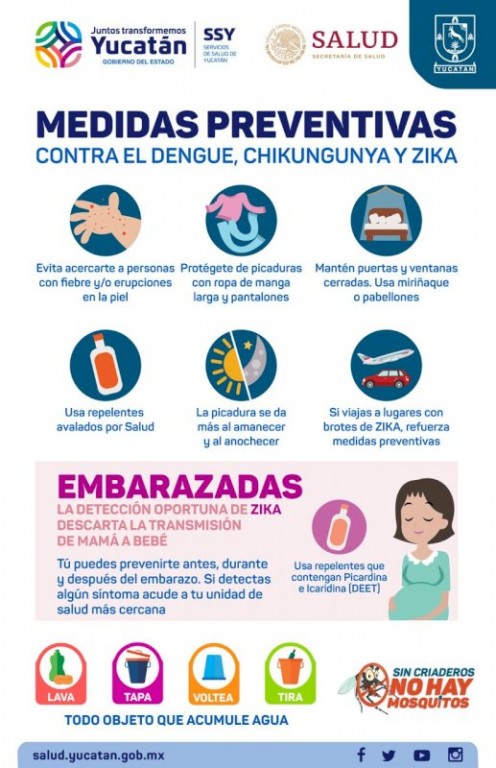 La lucha contra el dengue no ha cesado. Alcalde Ruz Castro aseguró que todos los días hay operativos de fumigación.