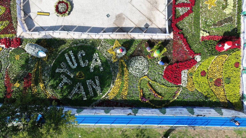 Entre 30 y 40 mil plantas hay en cada camino de flores de yucatàn