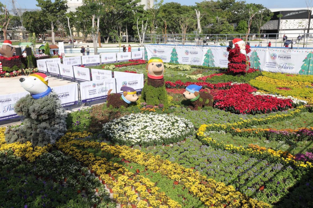 Entre 30 y 40 mil plantas hay en cada camino de flores de yucatàn