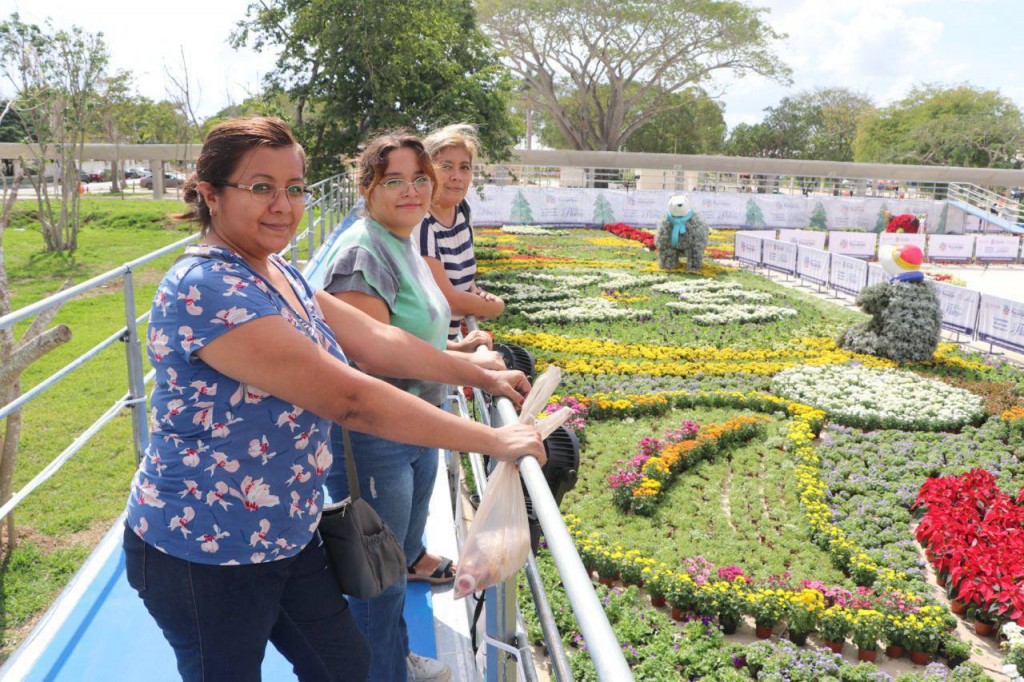 Entre 30 y 40 mil plantas hay en cada camino de flores de yucatàn
