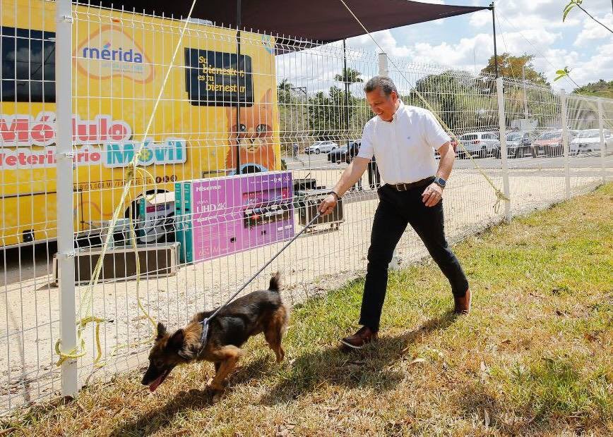 A finales de este mes comenzará a circular el Módulo Móvil Veterinario por Mérida.