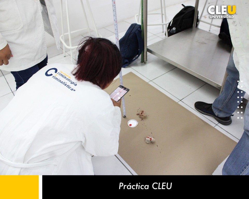 Egresan 49 jóvenes de CLEU Campus Mérida