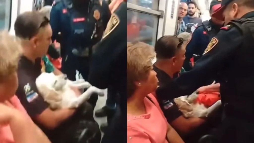 Luna bella y su video "Nopor" en el metro causan indignación.