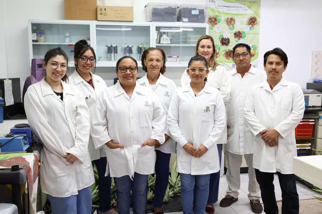 Desarrollan en Yucatán el chile habanero más picoso