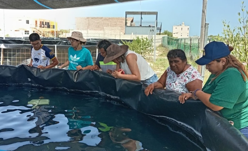 Fortalece grupo de estudiantes del Tec Tizimín sus conocimientos sobre pulpo maya