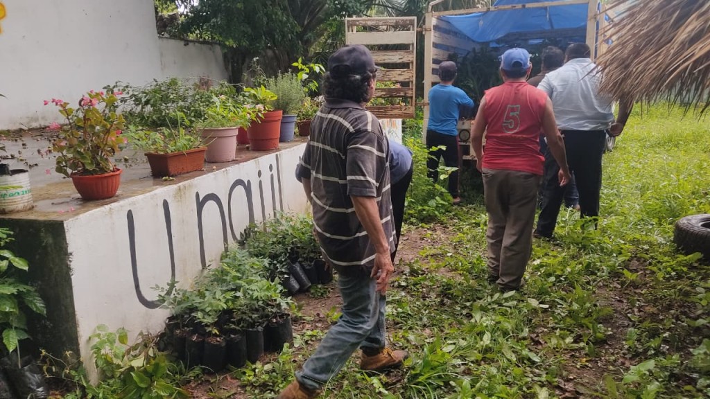 1 Impulsa Renacimiento Verde restauración ecológica y productiva en el sur