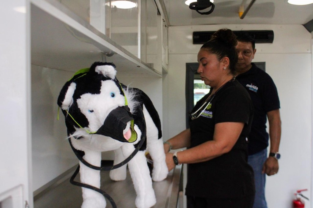 Refuerza Mérida protocolos de protección animal para temporada de huracanes