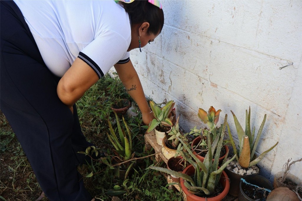 Se suman escuelas de Yucatán al programa Escuela Sustentable