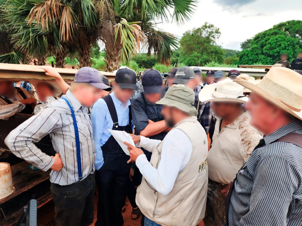 Clausura Profepa 17 predios en la Península de Yucatán, por afectaciones a la selva