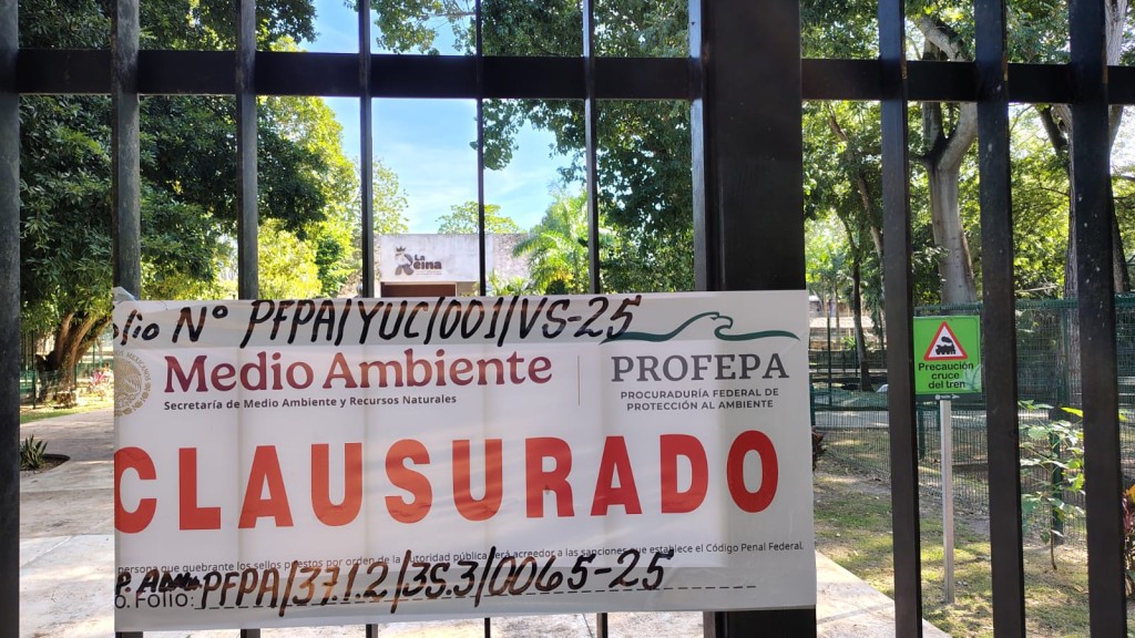 Aclaran que están bien los animales del Zoológico de Tizimín