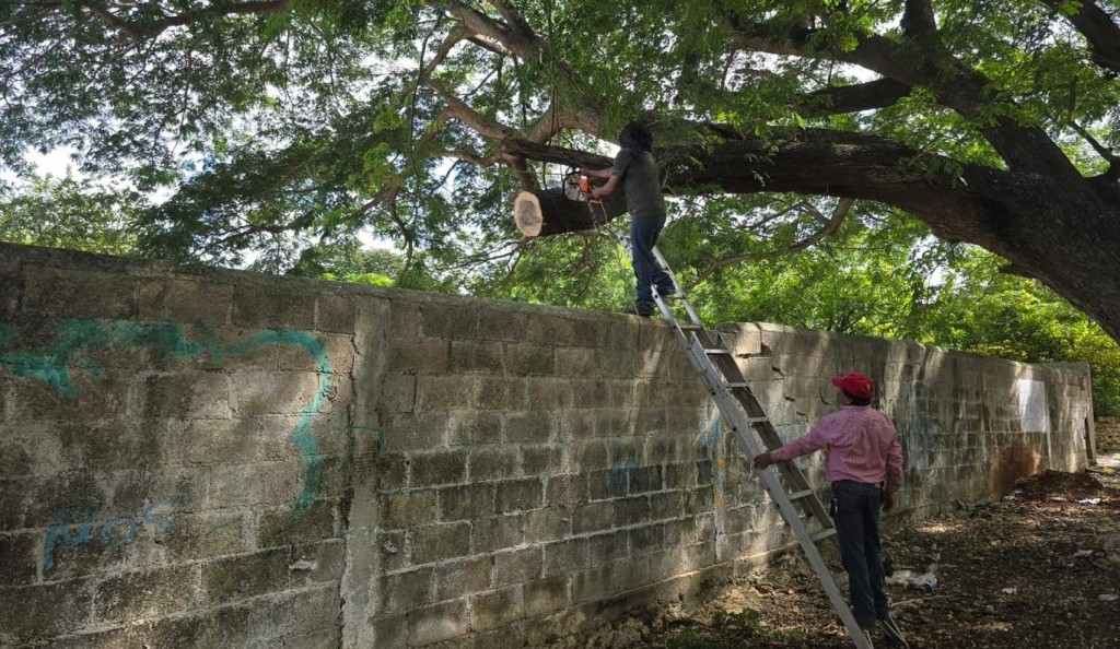 Brindan capacitación en eventos hidrometeorológicos a maestros del Cobay de Colonia Yucatán