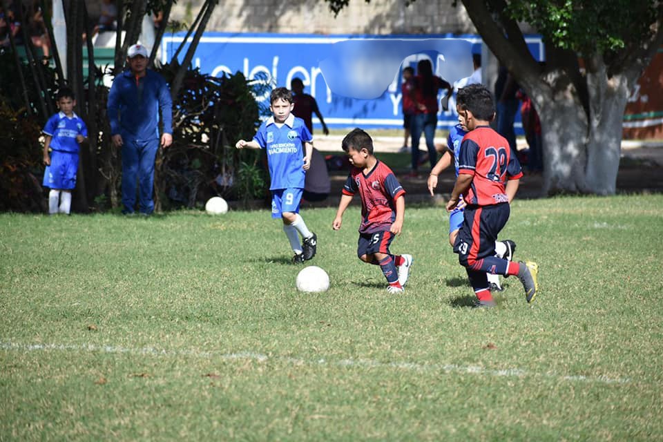 ¿El béisbol sigue siendo el deporte rey en México?