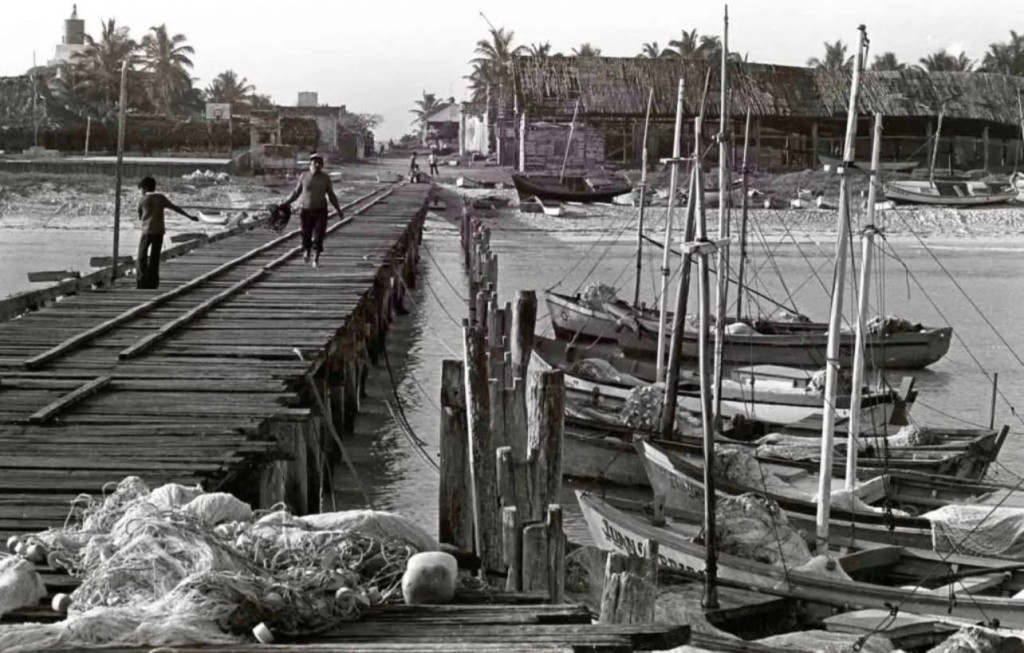 En la Opinión de Fidel Dzib