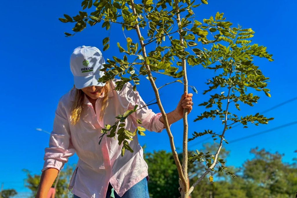M&eacute;rida impulsa Plan Municipal de Infraestructura Verde con apoyo de GIZ de Alemania