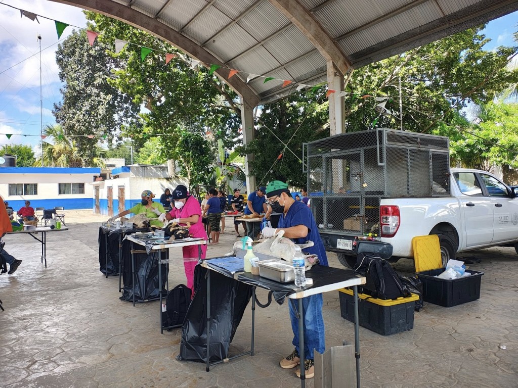 Gobierno de Yucatán impulsa control responsable de mascotas