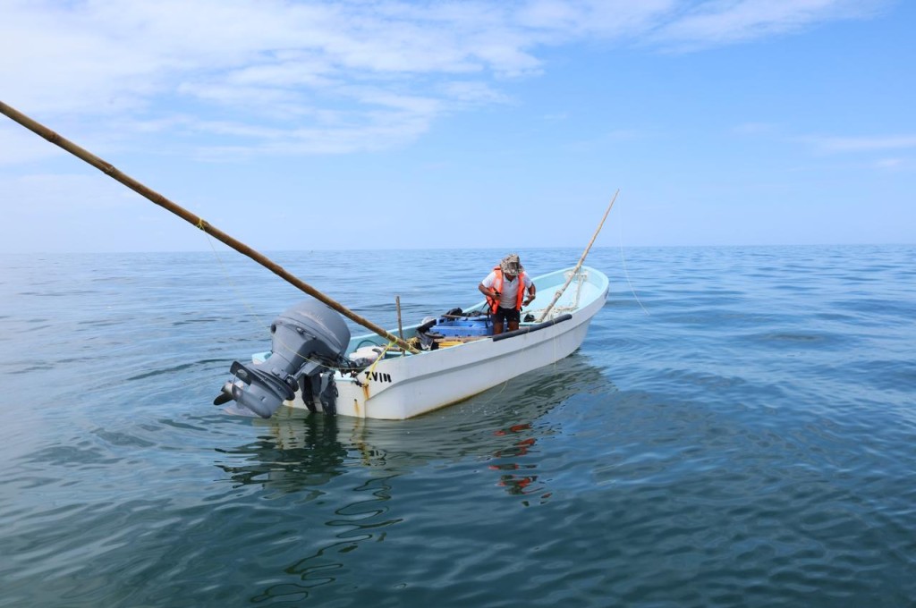 Convocan al Premio Estatal de Pesca y Acuacultura Ejemplar 2025