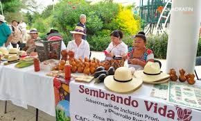 Productores yucatecos defienden el programa &ldquo;Sembrando Vida&rdquo;