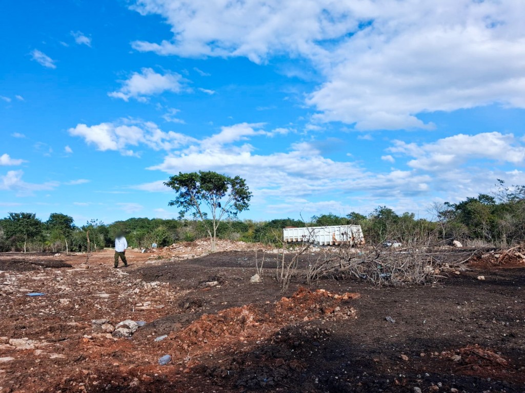 Profepa clausura terreno en Kinchil