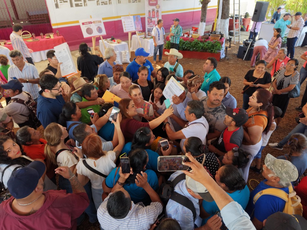 Anuncia Claudia Sheinbaum &ldquo;Jamaica para el Bienestar&rdquo;, para productores de Guerrero