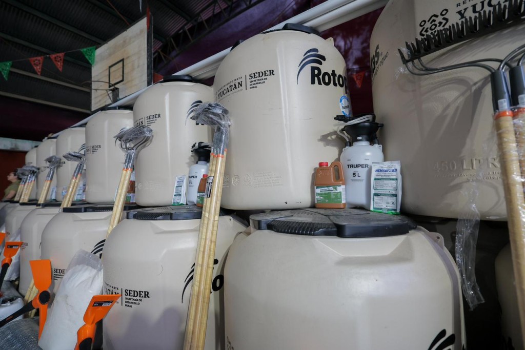 Apoya Renacimiento Maya econom&iacute;a familiar con huertos de traspatio