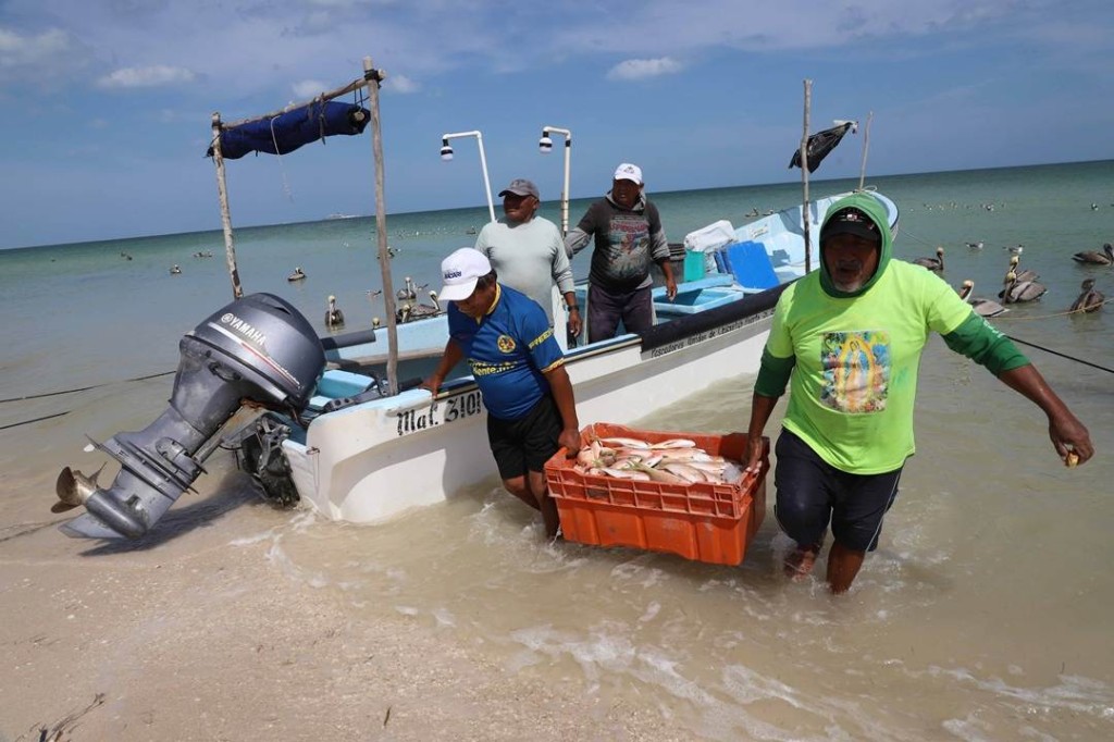 Incrementarán este año el apoyo a la veda para los pescadores yucatecos