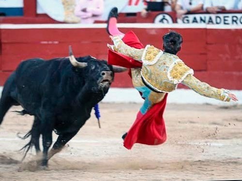 Corta oreja Diego Silveti, durante festejo en &ldquo;La Merida&rdquo;