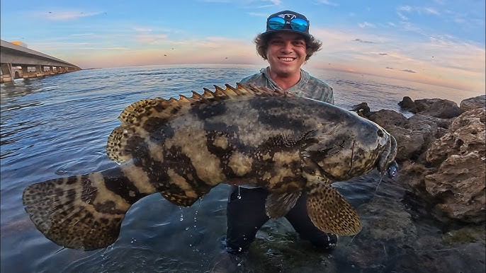 Concluye la pesca del mero e inicia la veda 2026 en Yucatán