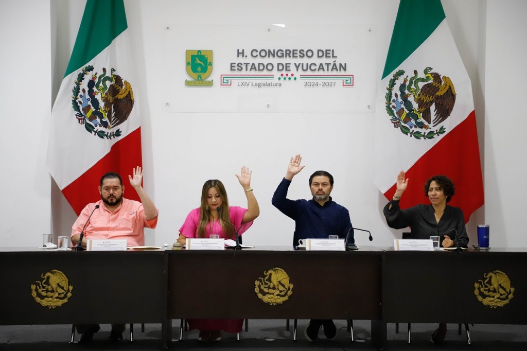 Aprueban proyecto de convocatoria para designar a integrantes del Consejo Consultivo de la CODHEY