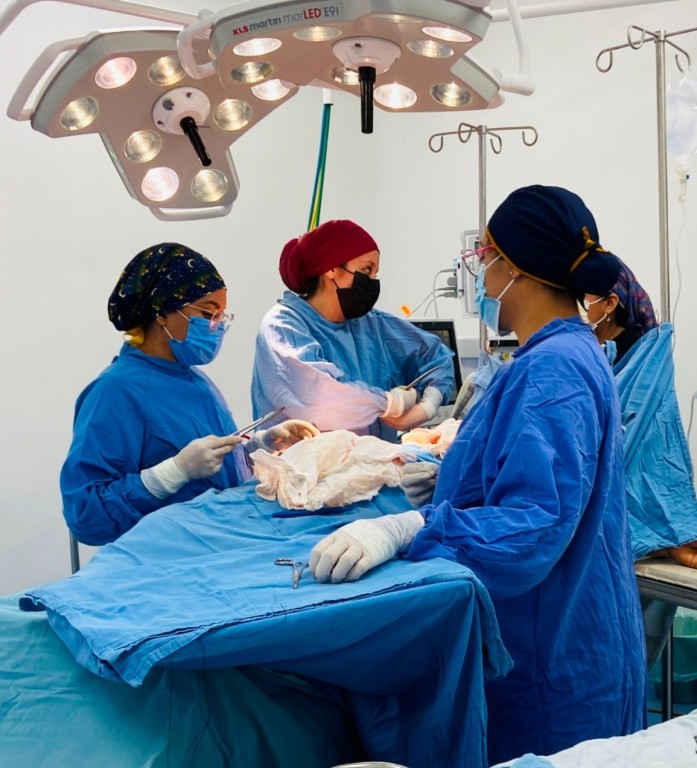 Reconoce IMSS Yucat&aacute;n a mujeres m&eacute;dicas que salvaguardan la salud y bienestar de la poblaci&oacute;n