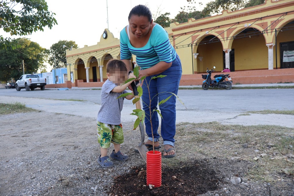 Promueven reforestaci&oacute;n en Dzity&aacute; como parte de la estrategia Renacimiento Verde