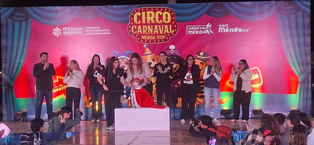 Cerrar&aacute;n Reyes Caninos su reinado con esterilizaci&oacute;n masiva