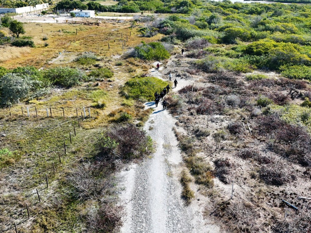 Clausura Profepa terreno y decomisa maquinaria en Chelem