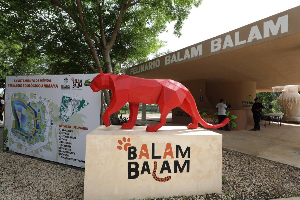 Avanza M&eacute;rida en la conservaci&oacute;n de la fauna silvestre con responsabilidad, ciencia y coraz&oacute;n