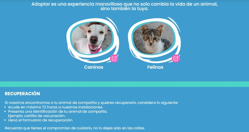 Adopciones en el Cemaa ahora incluyen entrenamiento gratuito para mascotas