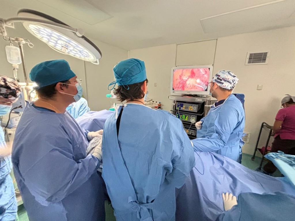 Impulsa Yucat&aacute;n cultura de donaci&oacute;n en el D&iacute;a Mundial del Trasplante de &Oacute;rganos y Tejidos