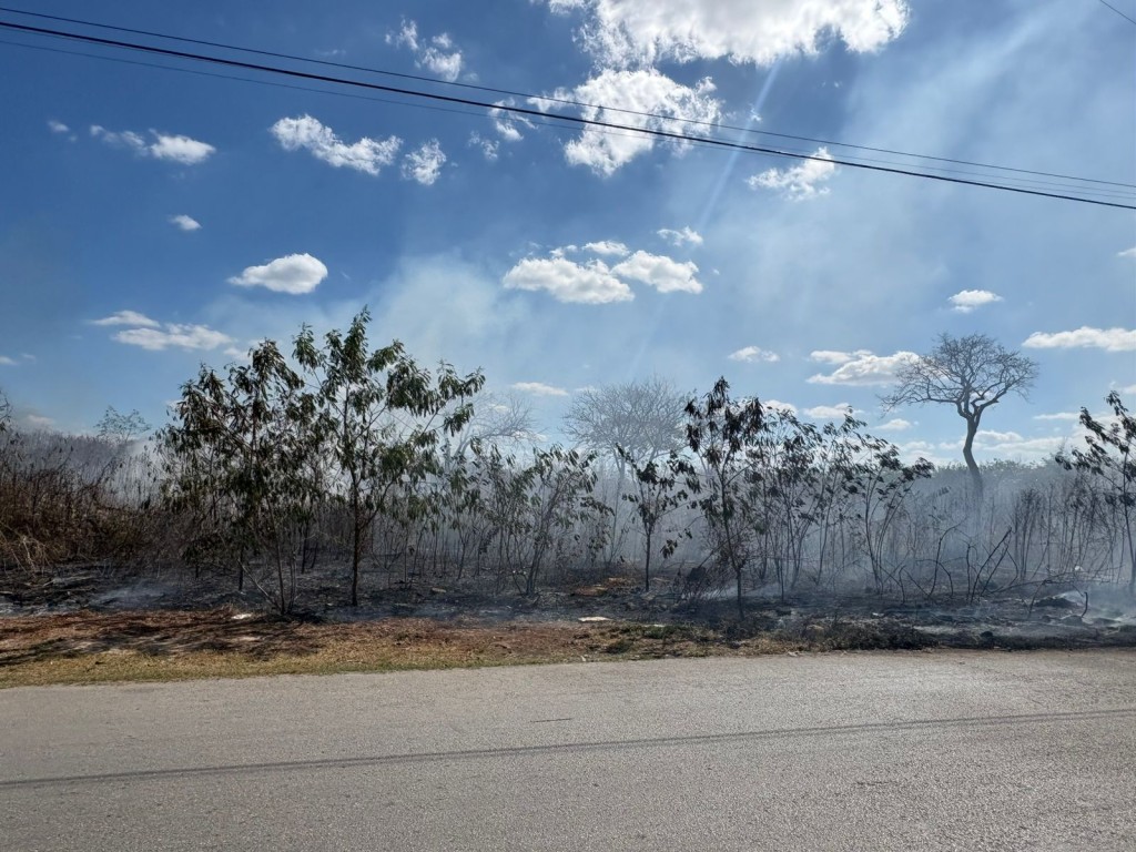 Controlan oportunamente incendio de basurero clandestino en la Reserva Cuxtal