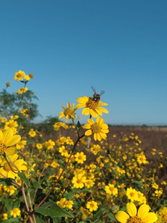 Se fortalece el di&aacute;logo cient&iacute;fico en Yucat&aacute;n