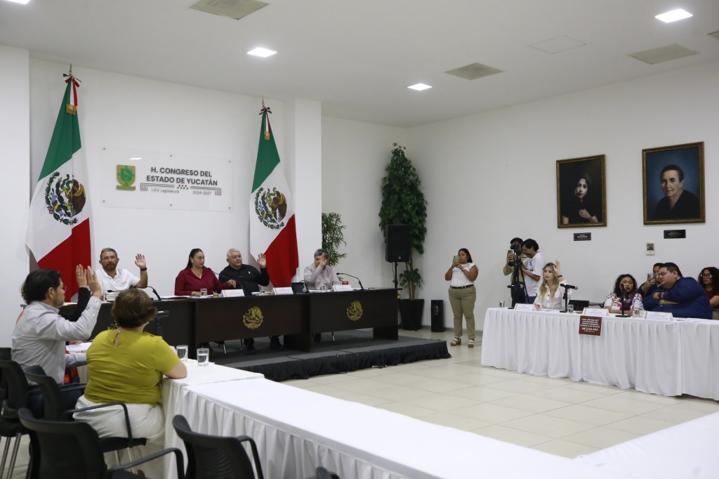 Aprueban dict&aacute;menes en favor de mujeres v&iacute;ctimas de violencia y de pensiones alimentarias para menores