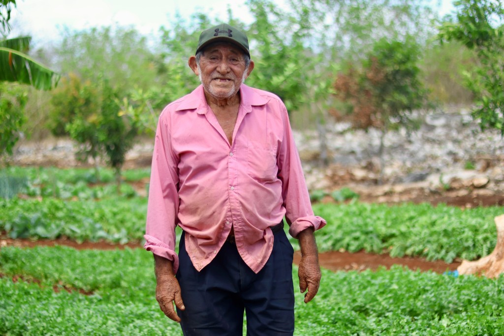 Siembran esperanza y cosechan bienestar para sus familias y el campo yucateco