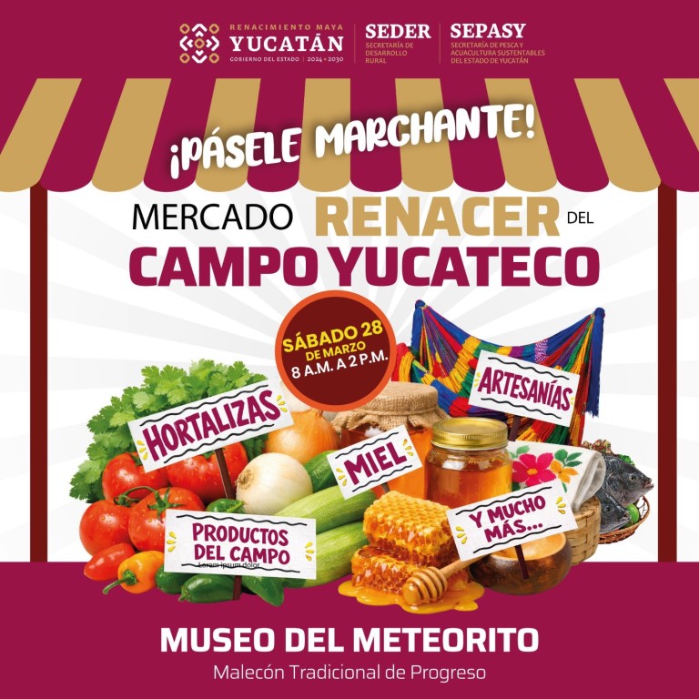 Llegar&aacute; el Mercado Renacer al puerto de Progreso