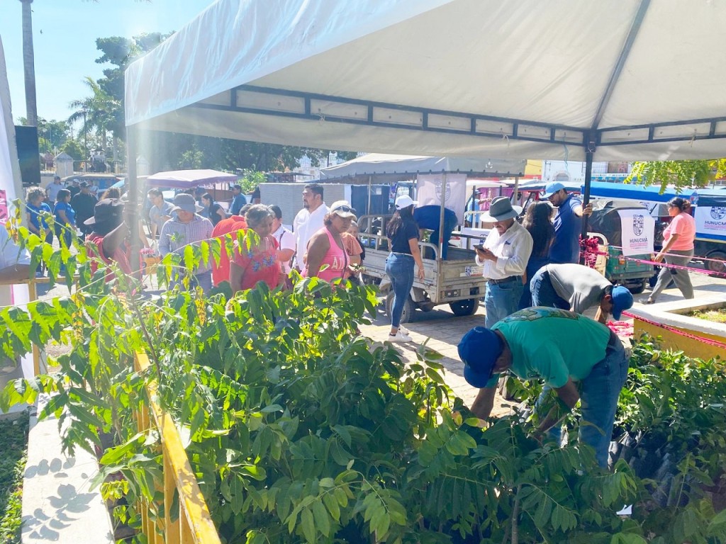 Entregan 5 mil plantas nativas en Hunucm&aacute; para impulsar biodiversidad y apicultura