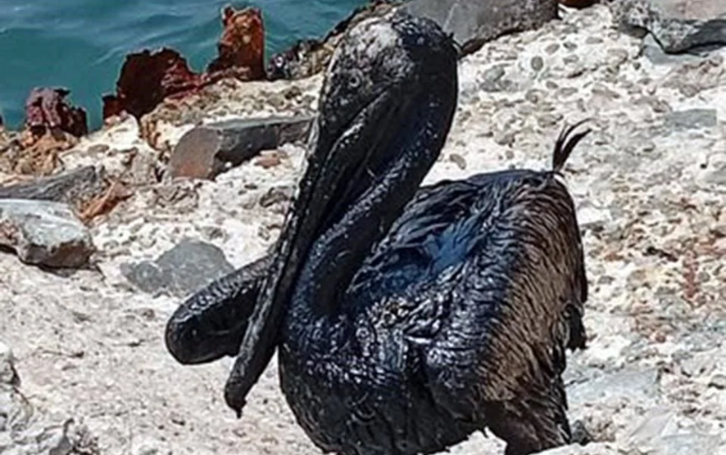 No ha llegado petr&oacute;leo a costas de Yucat&aacute;n por derrame en Dos Bocas