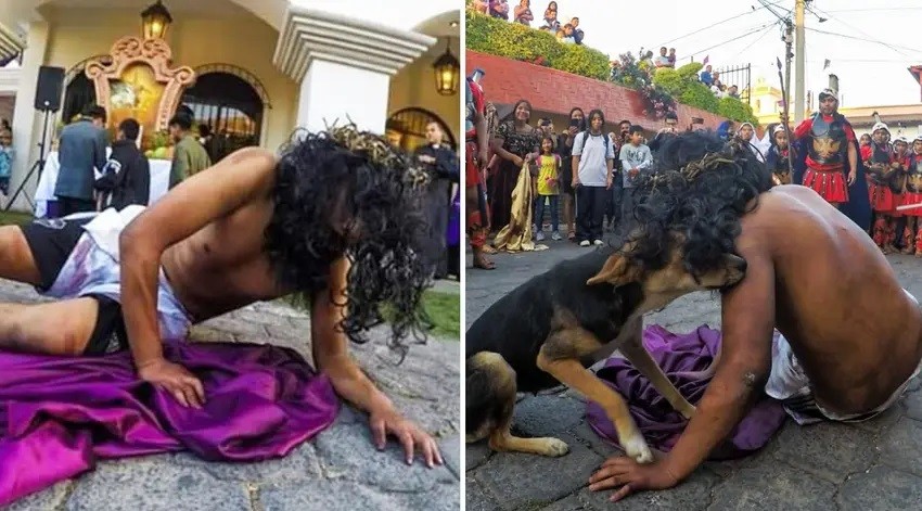 Desde la ca&iacute;da de Jes&uacute;s de su cruz, hasta un perrito consolando al nazareno, los viacrucis 2026
