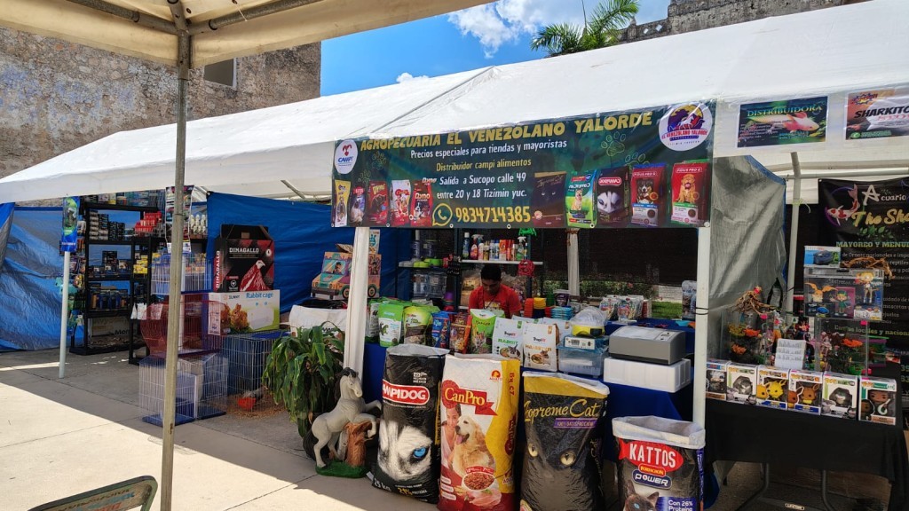 Se aproxima evento acu&aacute;tico en el Zool&oacute;gico de Tizim&iacute;n