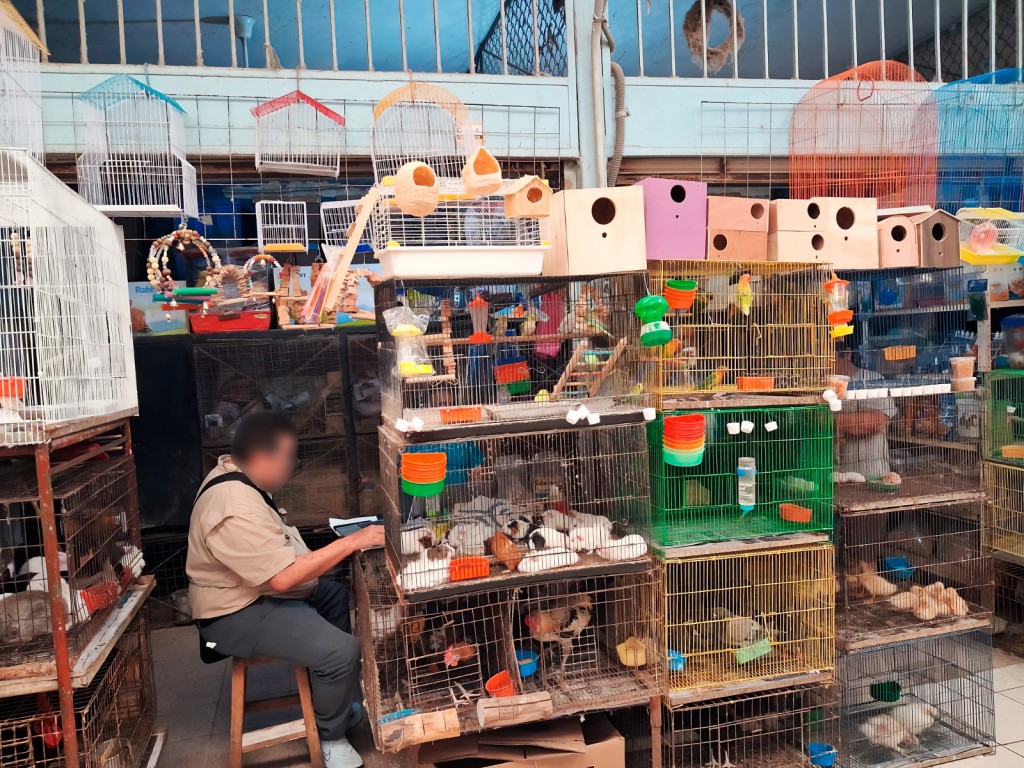 Refuerzan operativos y coordinaci&oacute;n para erradicar venta de especies protegidas en mercados de M&eacute;rida