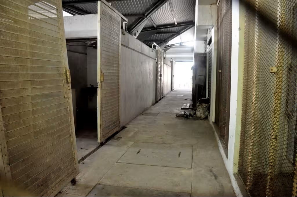 Analizan la rehabilitaci&oacute;n del mercado de &ldquo;La Pepita&rdquo;, en M&eacute;rida