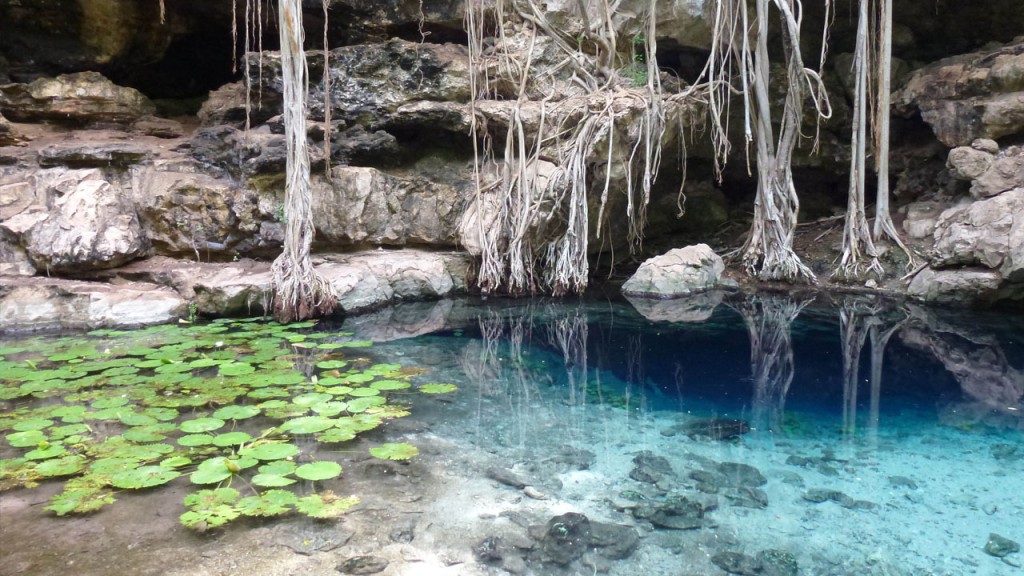 Es muy bajo el porcentaje de cenotes contaminados